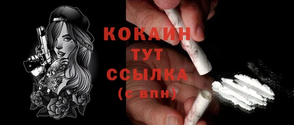 винт Алексин