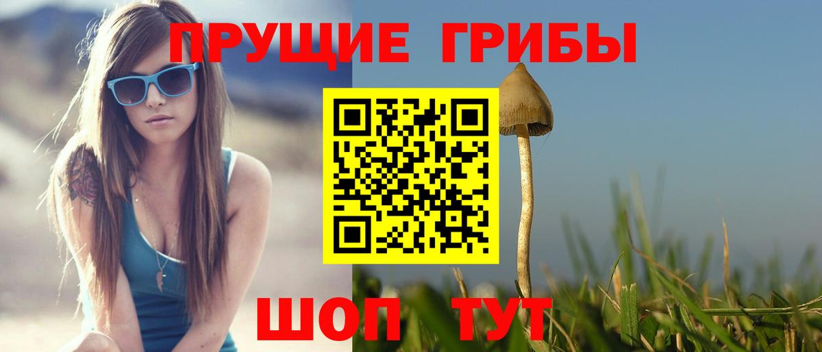Татарск  Псилоцибиновые грибы MAGIC MUSHROOMS  Вход с VPN  Псилоцибиновые грибы Psilocybe 